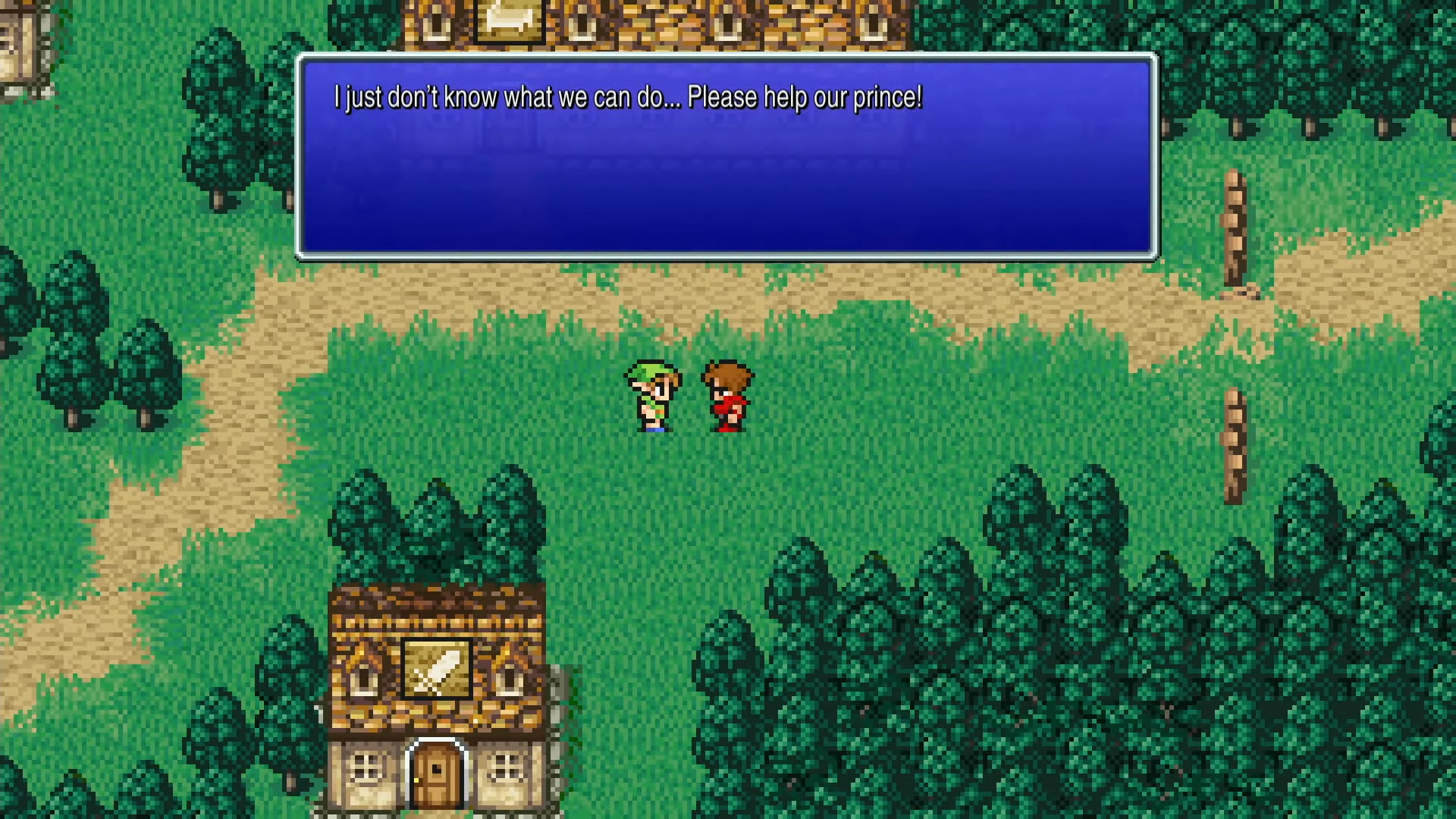The town of Elfheim, home of the elves